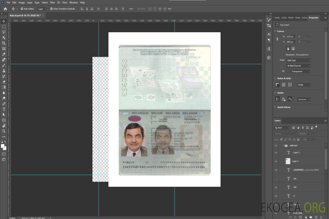 Passeport belge 2020-présent template Passeport belge 2020-présent template